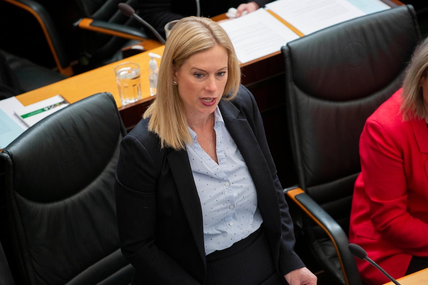 Rebecca White stands and speaks on the floor of Parliament.