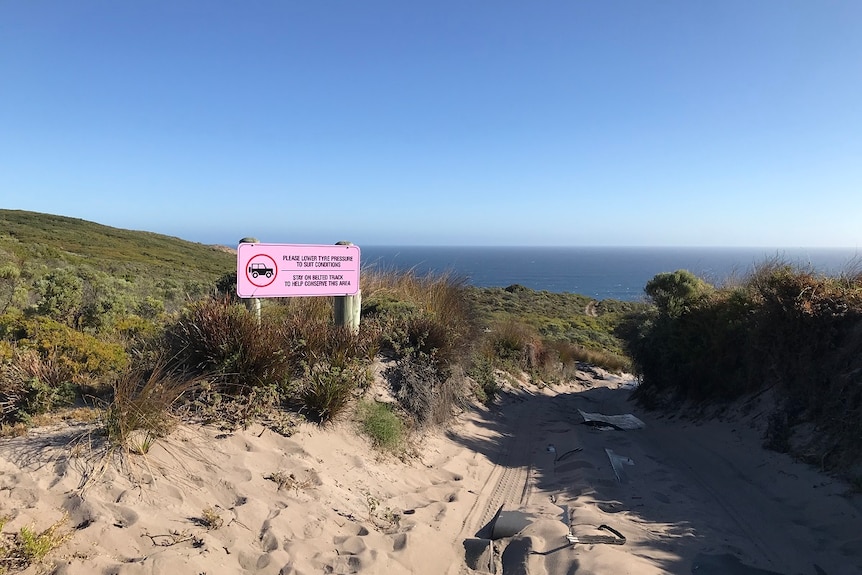 A pink sign standing at the edge of a dune, with ocean in the background.