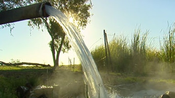 A free-flowing bore in the Great Artesian Basin.