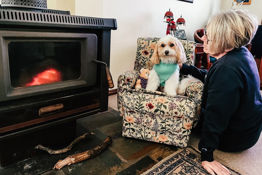 A dog sits on a loungechair next to a fire place with his owner sitting on the floor