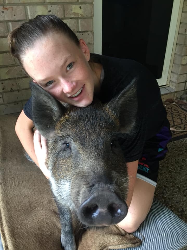 Teenage girl pets her miniature pig