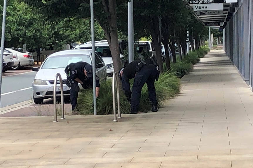Two police officers bending over looking in a garden. 