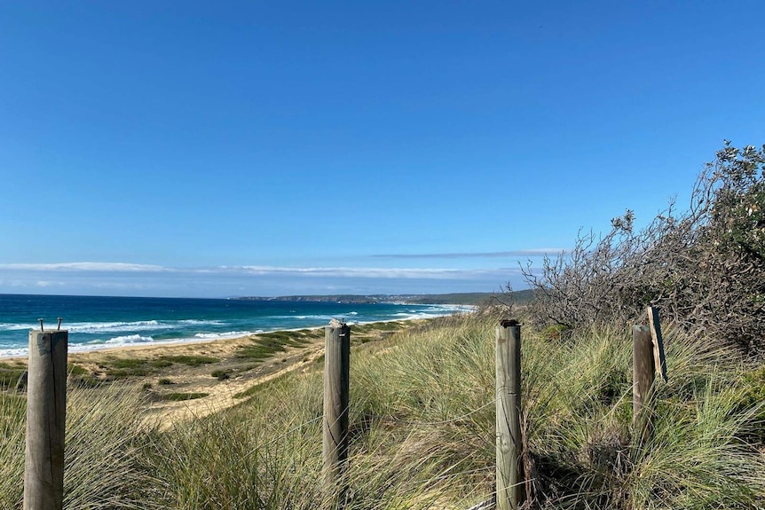 A beach with a grassy noll, sand and water to the left