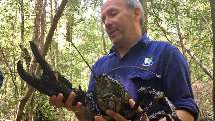 Todd Walsh holding giant freshwater crayfish.