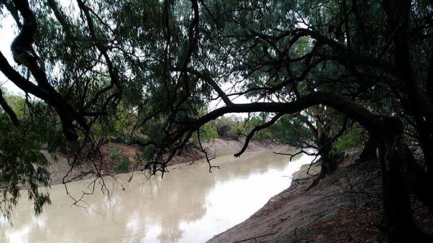 The Darling River between Bourke and Louth after 75 millimetres of much-needed rain fell in the district.