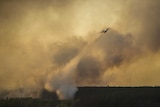 A plane drops water on a fire near Chernobyl