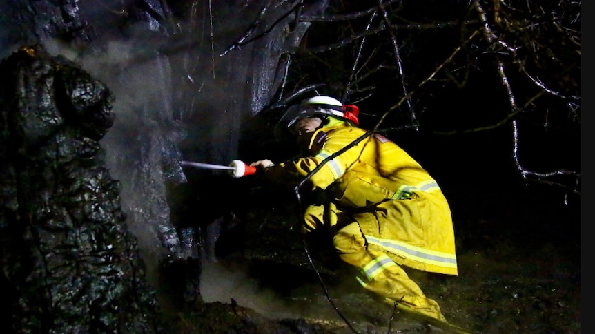 A fire fighter sprays a smoking tree in the dark.