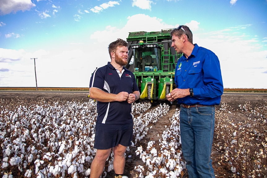 Grower Tyson Armitage and agronomist Matthew Holding stand in paddock of cotton with a picker behind them.