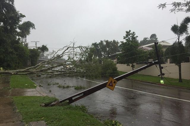 Fallen powerlines in a suburban street.