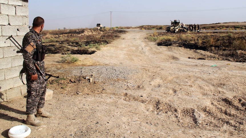 Iraqi security forces and Turkmen Shiite fighters hold a position in Amerli.