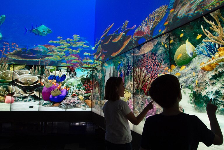 Two children touch a large screen with reef images on it.