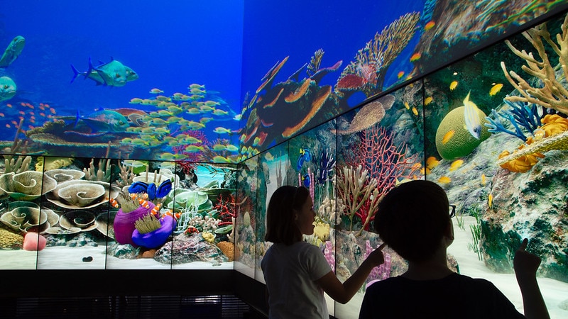 Two children touch a large screen with reef images on it.