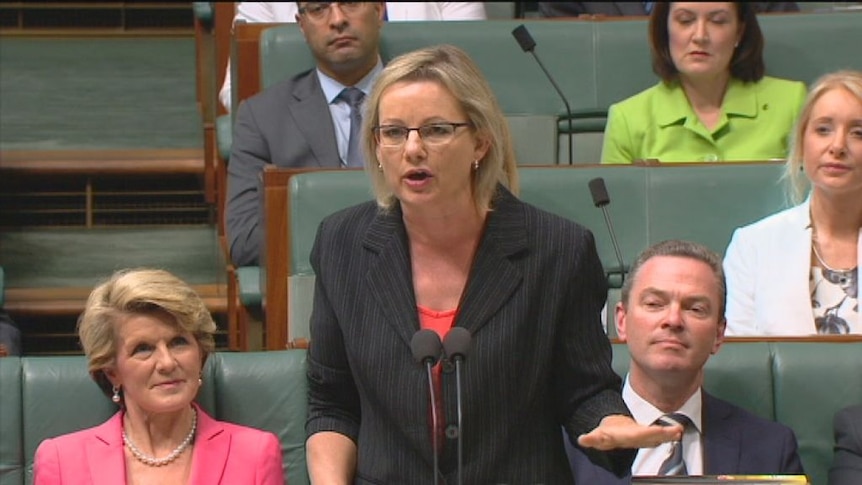 Sussan Ley