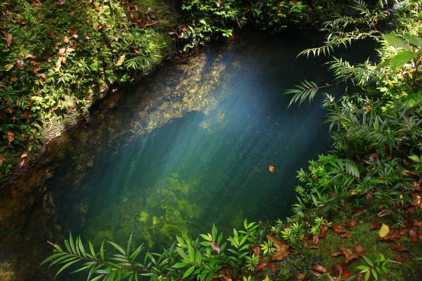 Taken in a rainforest in Fiji, a clear pool sits below Maciu surrounded by green bush as the sun beams in. 