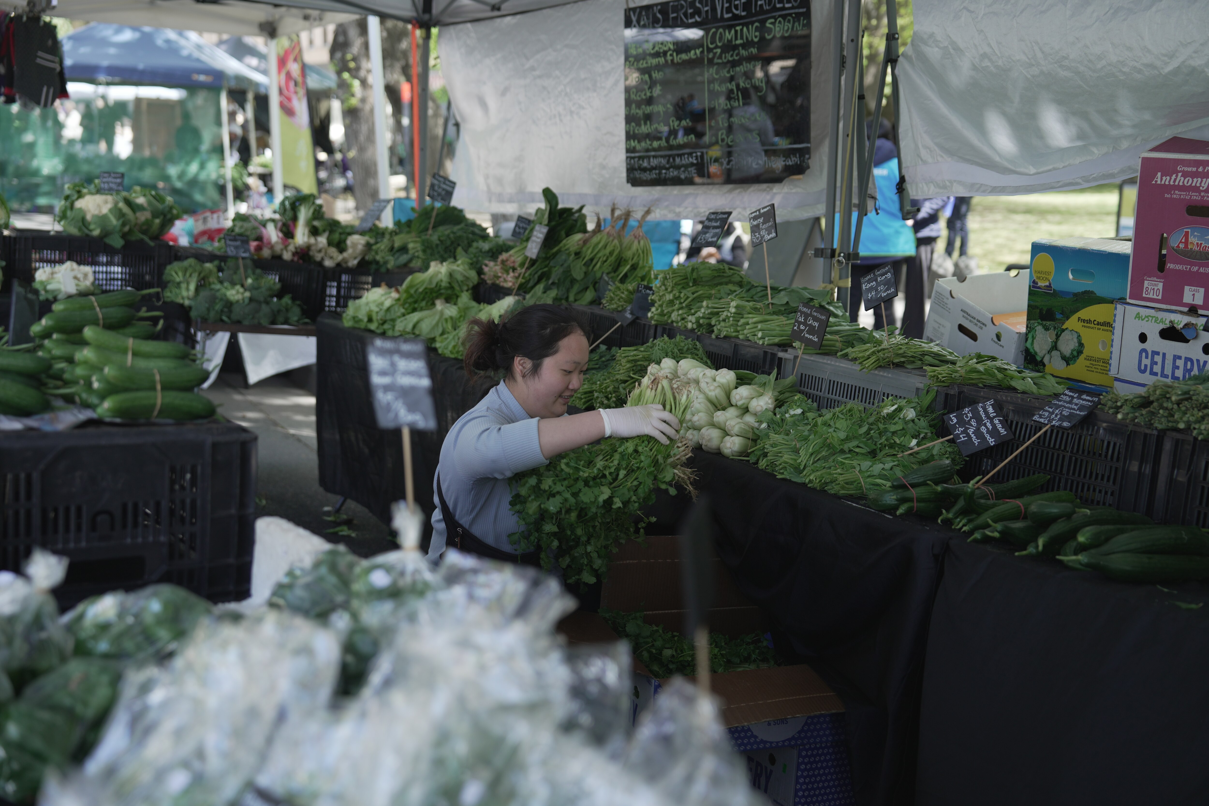 Uncertainty for small-scale Tasmanian farmers over new food safety rules – Australian Broadcasting Corporation