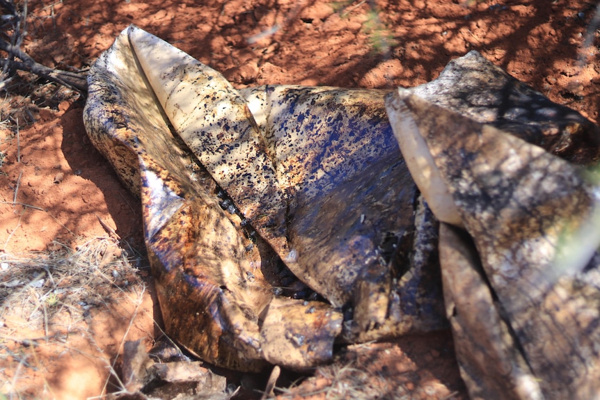 An abandoned, dirty tarp found in rural Western Australia 