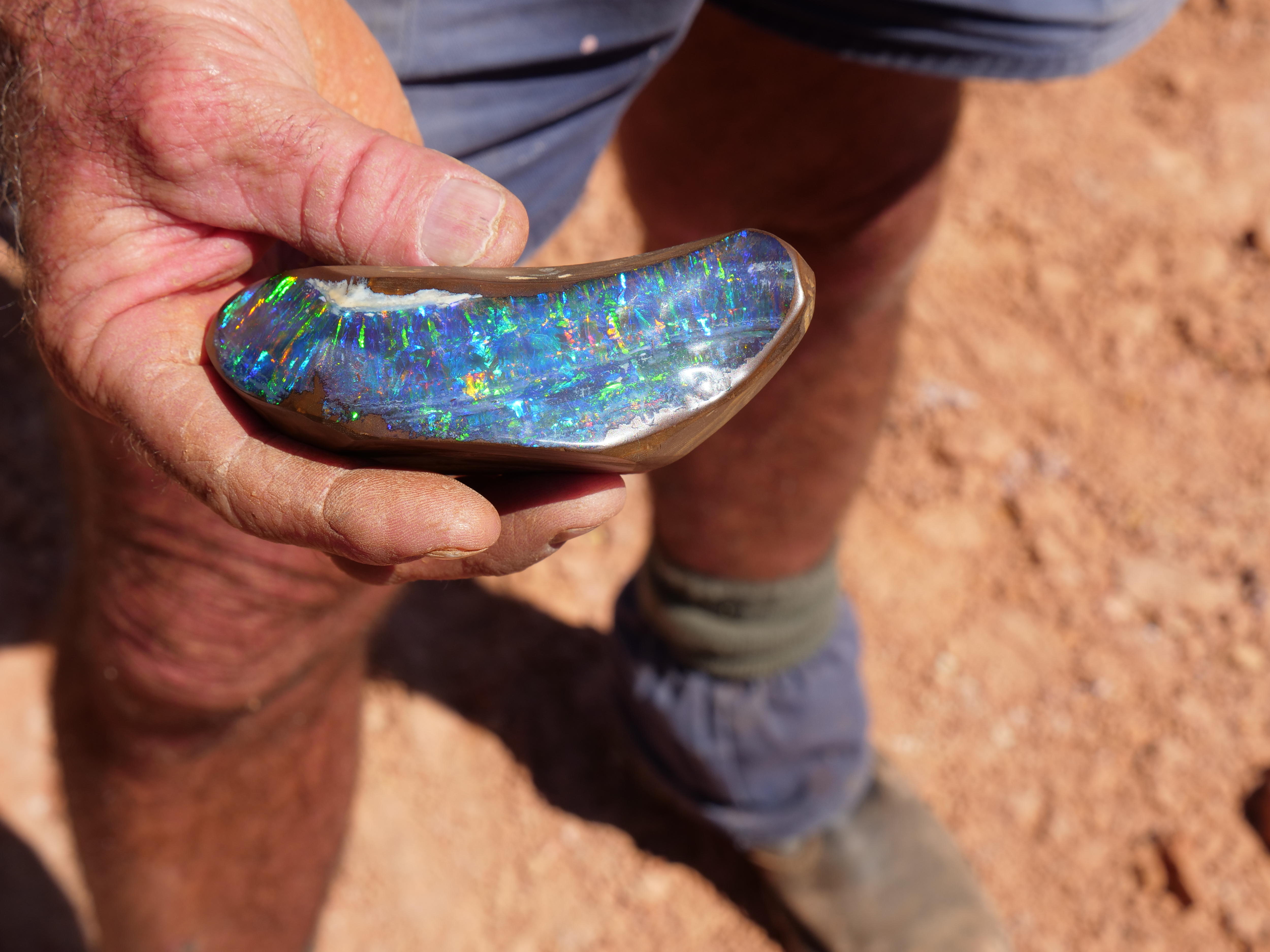 $300,000 boulder opal specimen