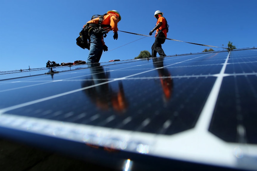 Two workers wearing high vis stand on solar panel with blue sky in background