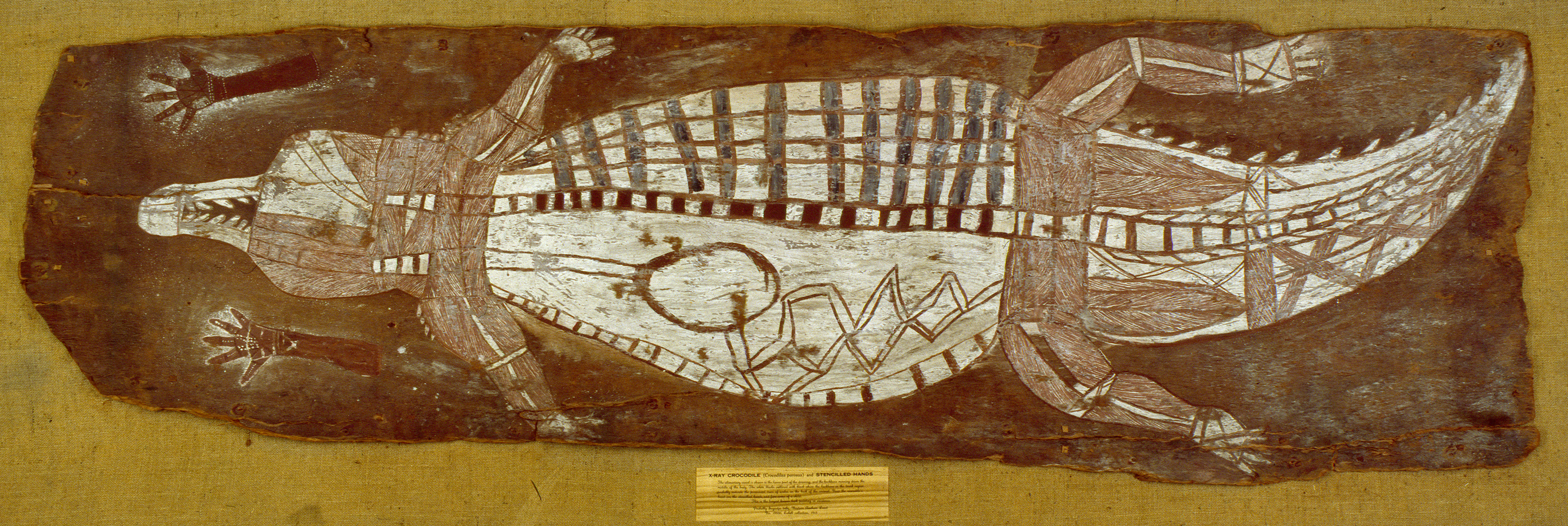 A piece of Indigenous bark art depicting a crocodile