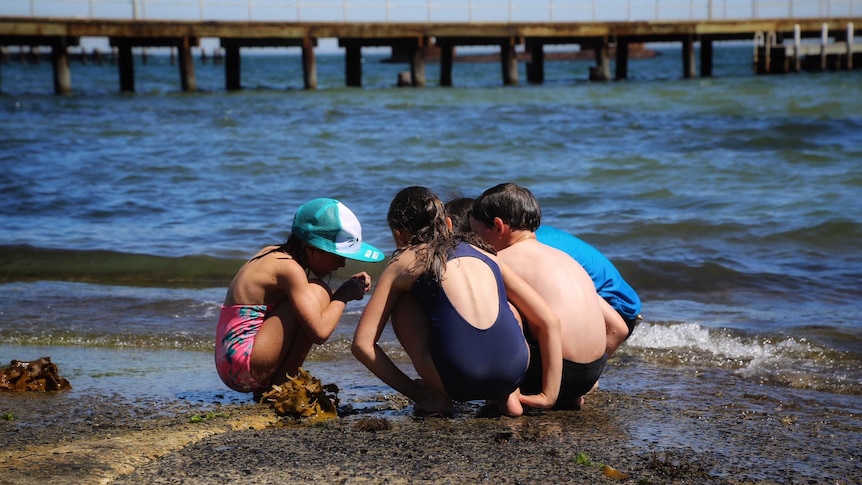 Three children crouch by the shore, examining shells.