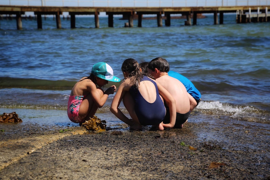 Three children crouch by the shore, examining shells.