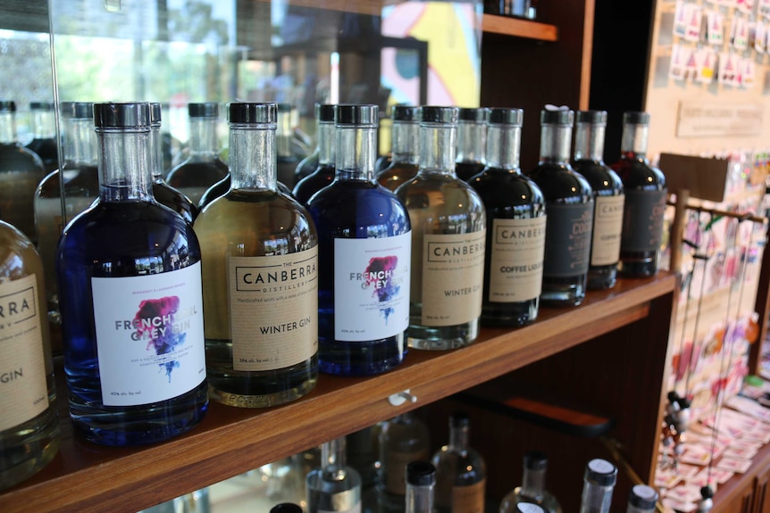 A row of coloured bottles of gin on a shelf.