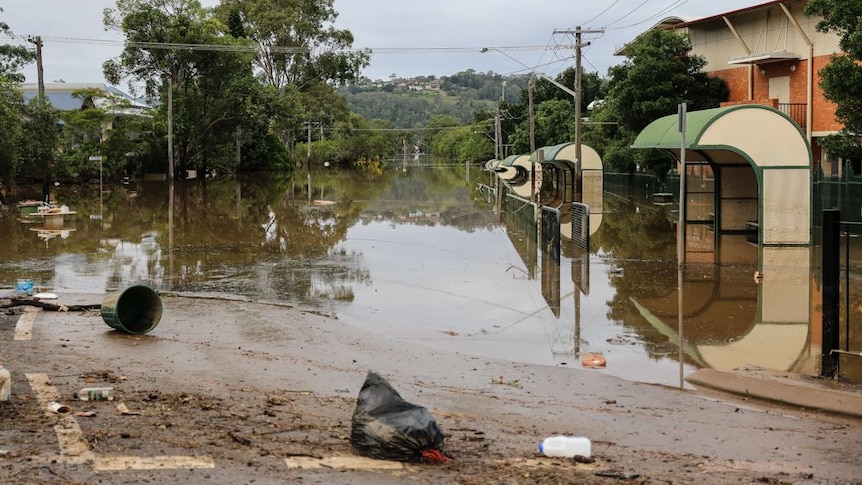 Rubbish on a road, with water.