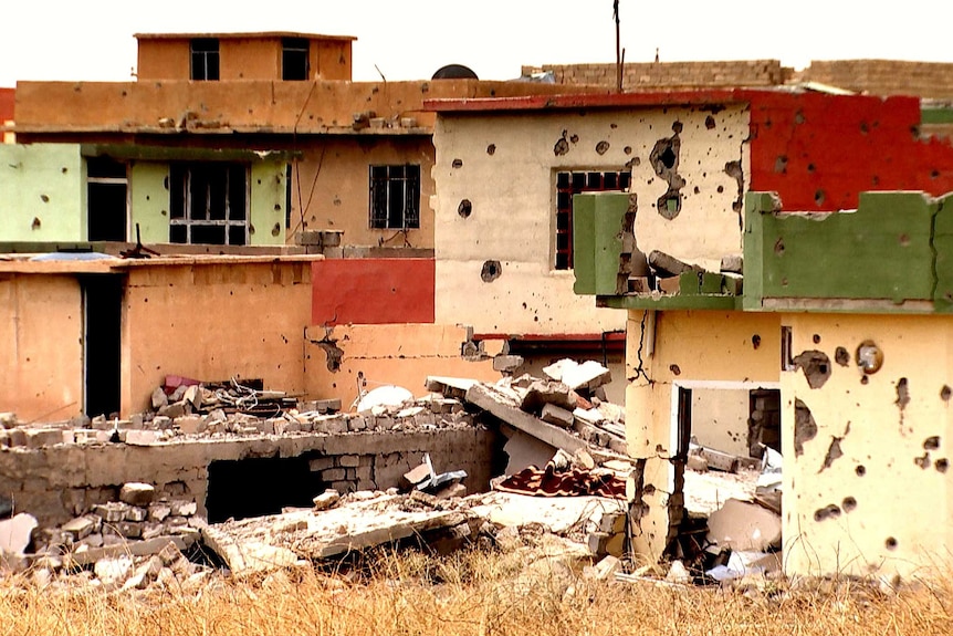 Bullet ridden building in Sinjar