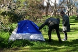 Two people peer into a thin hiking tent set up on grass in the shade of trees