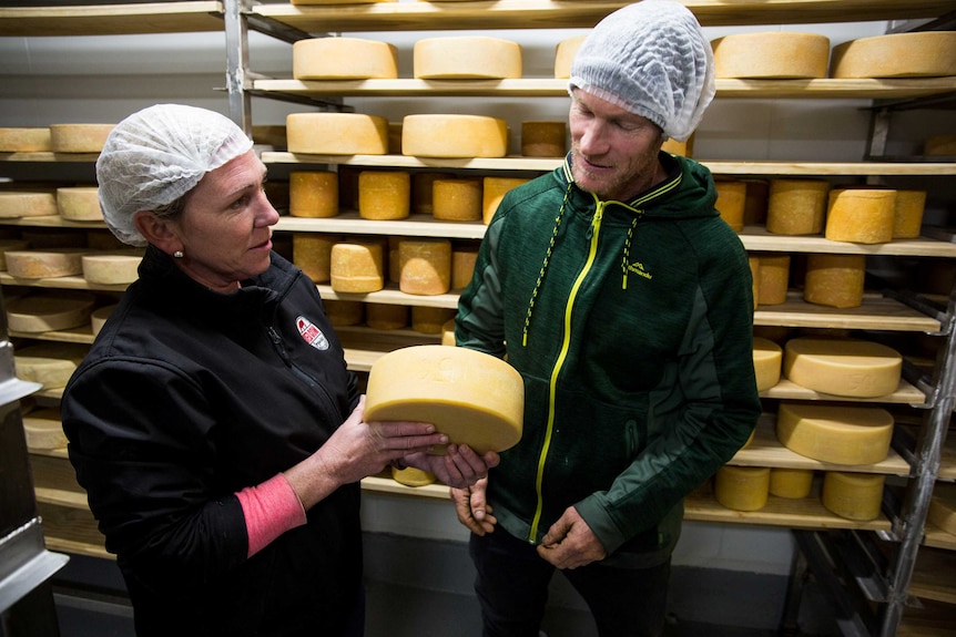 A woman and a man in hairnets inspect cheese.