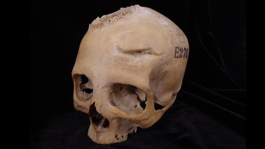 A skull from the side, with E270 on one side, and a crater like hole at the top