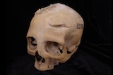A skull from the side, with E270 on one side, and a crater like hole at the top