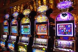 Government secures Shaw's support for pokies tax bill