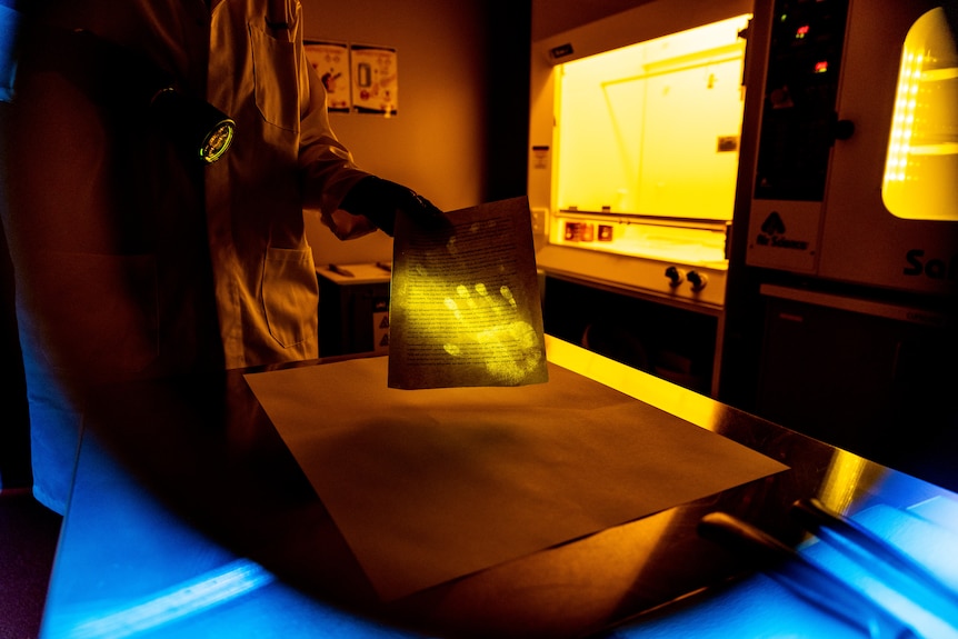 forensic scientist shows handprint on document under fluorescent light 