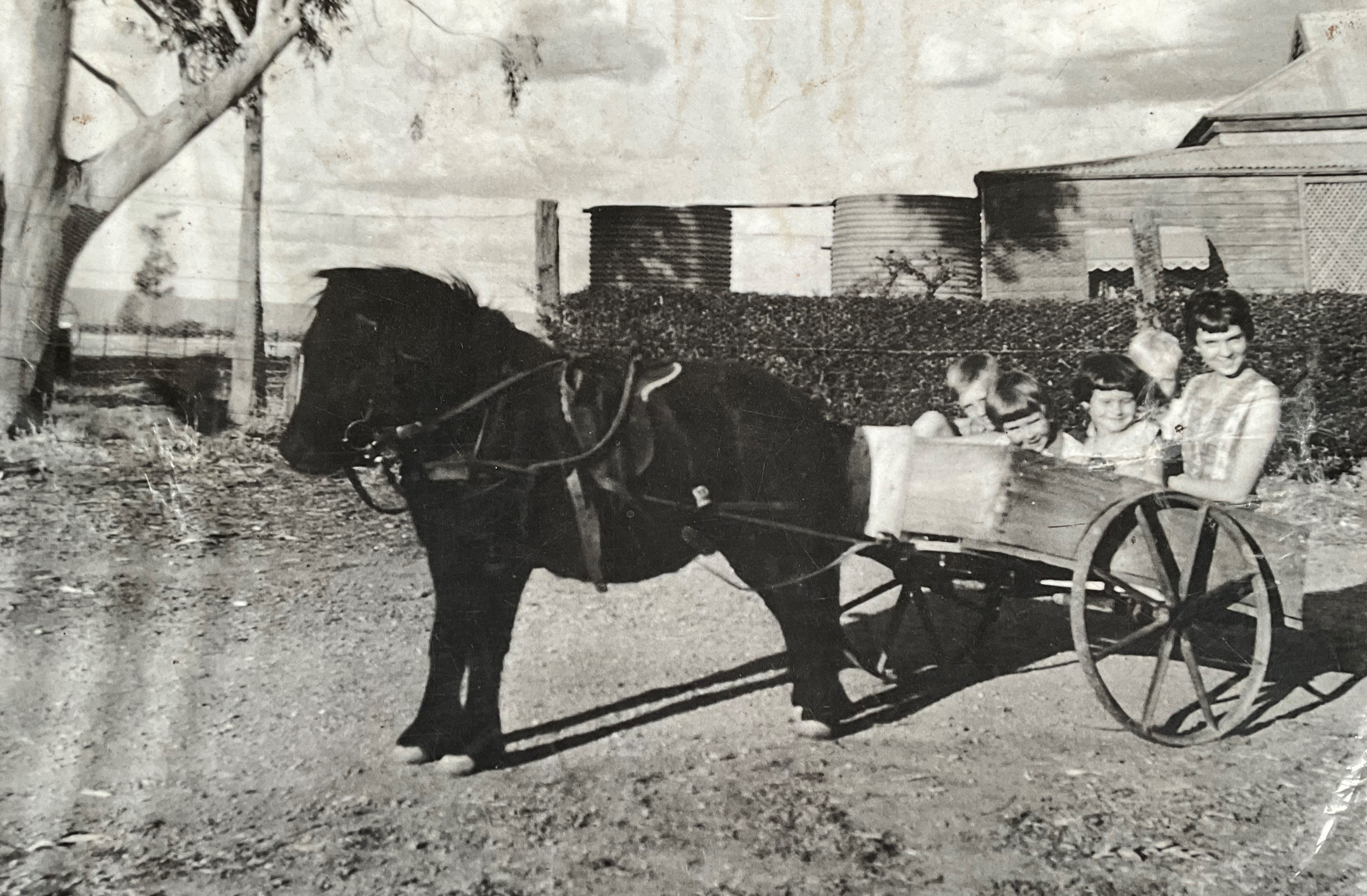 A black and white photo of a number of smiling children sitting in a cart being drawn by a small dark horse.