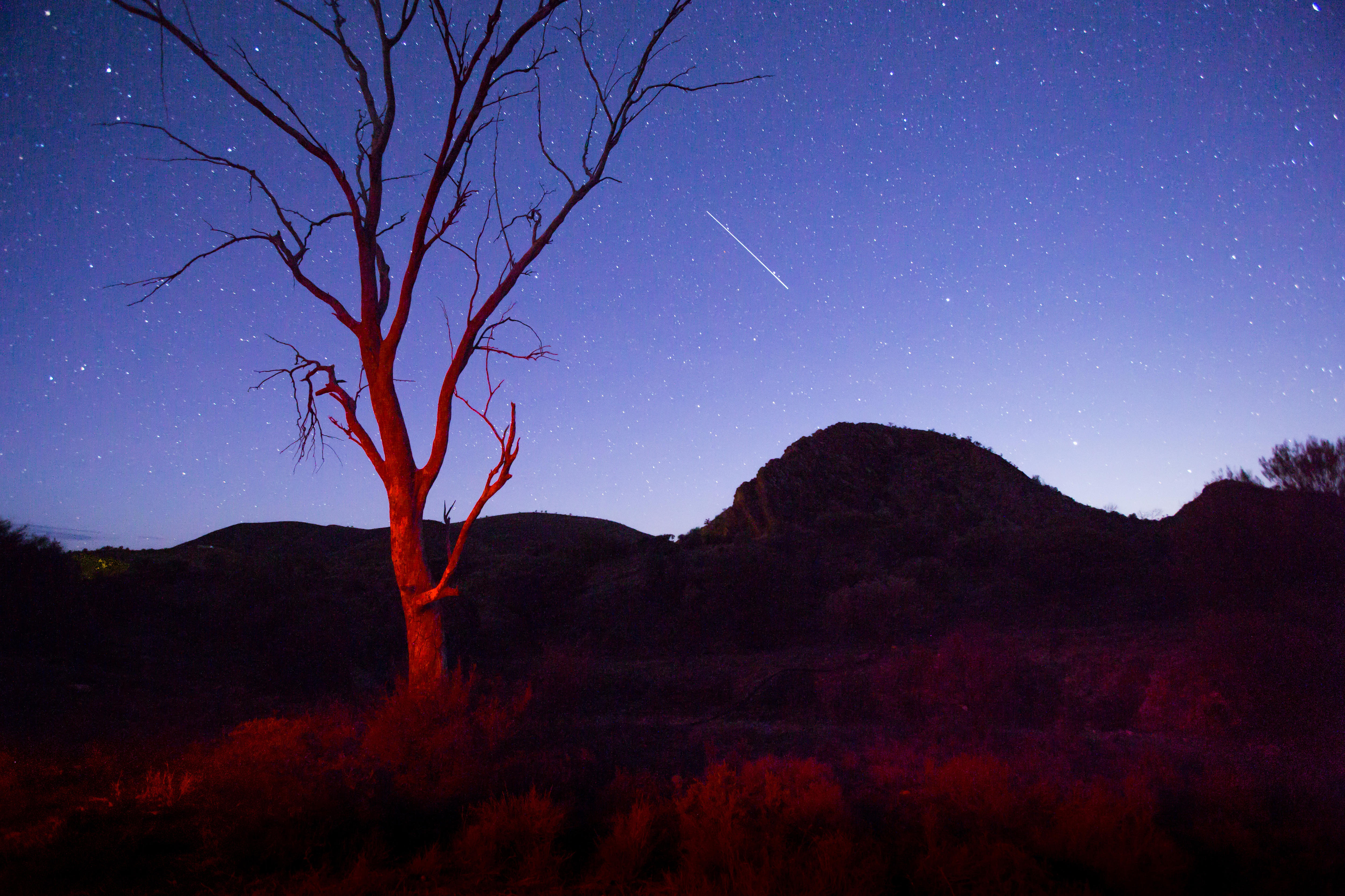 How to catch the peak of the Orionid meteor shower this week
