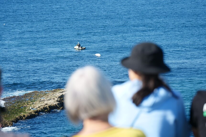 Image of people in foreground and jetski and dead whale in ocean in background