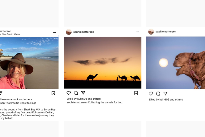 A grid of screenshots from Sophie Matterson's Instagram feed with photos and captions of her and her camels in the outback