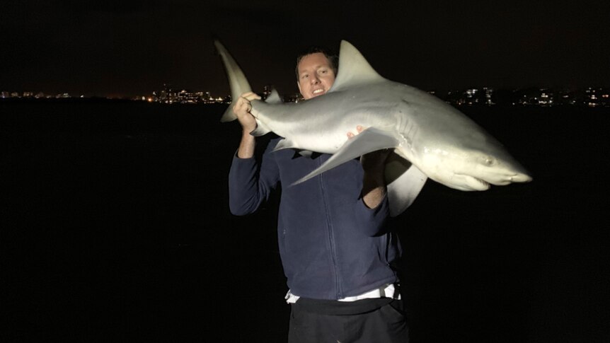 A man holds up a bull shark about 1m long, beside a river at night.