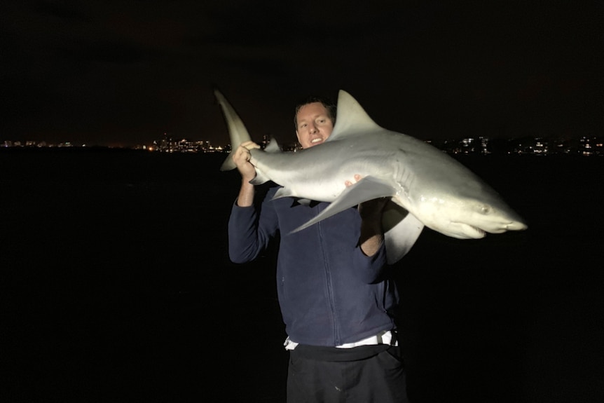 A man holds up a bull shark about 1m long, beside a river at night.