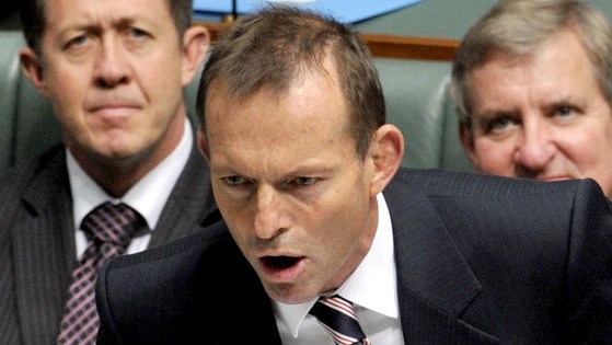 Opposition Leader Tony Abbott (AAP: Alan Porritt)