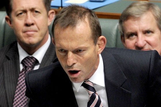 Opposition Leader Tony Abbott (AAP: Alan Porritt)