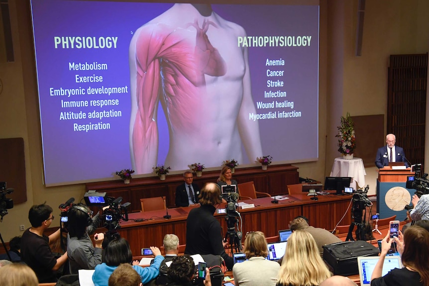 a graphic of the human body is shown on a screen at the Nobel prize press conference