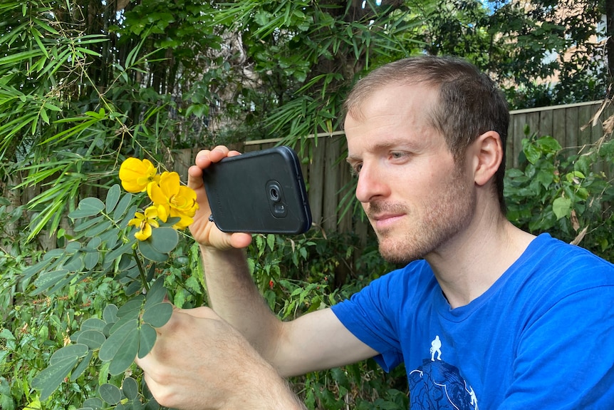 A young man in a blue t-shirt taking a photo of a yellow flower with a smartphone