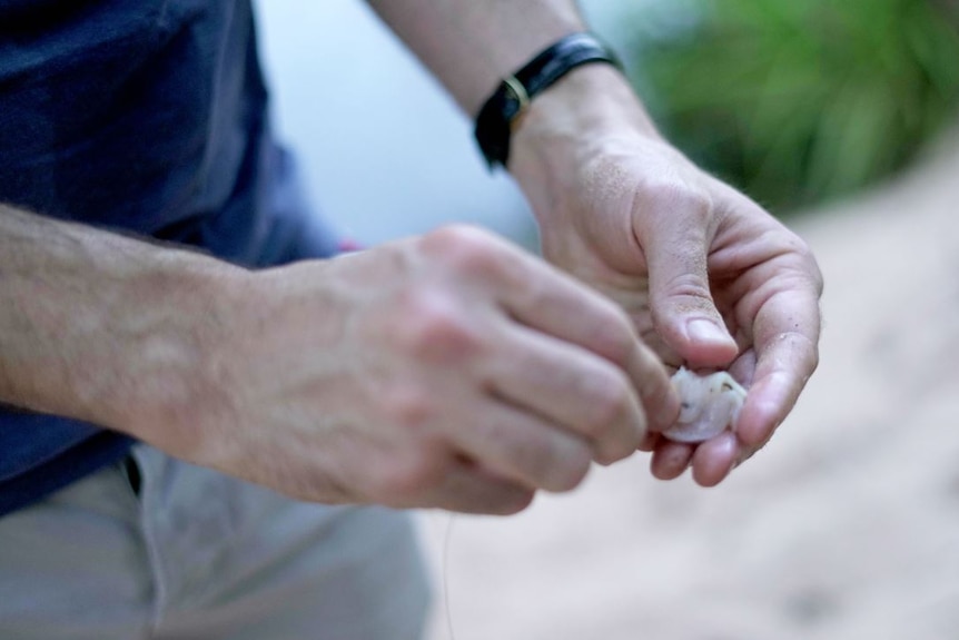A close up shot of a man's hands hooking bait for fishing