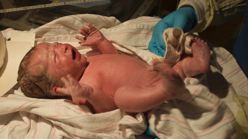 A crying newborn baby is checked by a nurse