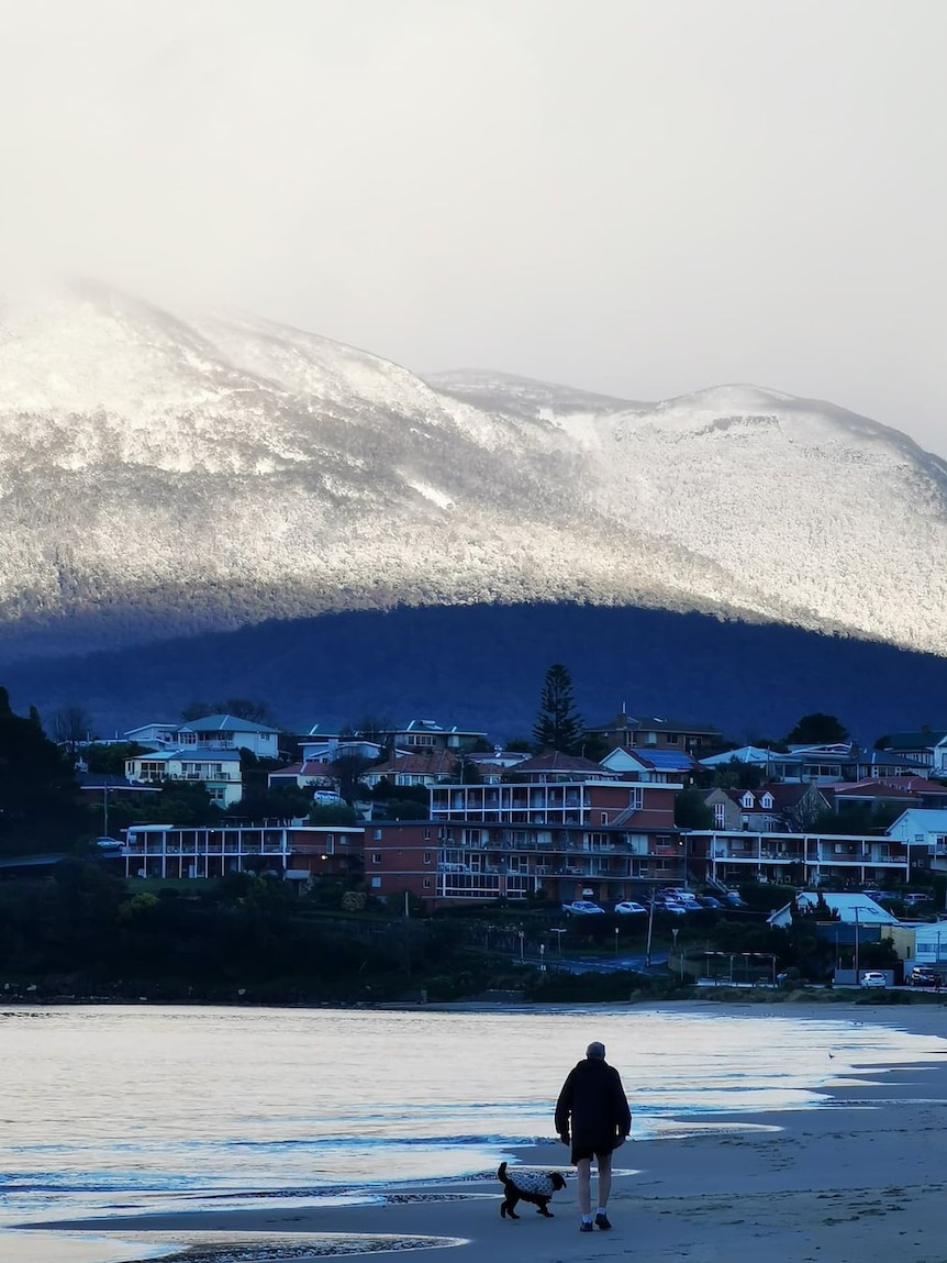 A man walks his dog along a beach with a snowy mountain in the background