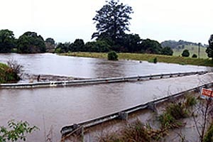Floodwaters swamp Ridgewood Road at Rosebank in northern NSW.