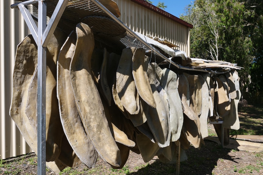 Moulds of fishing hanging outside a shed. 