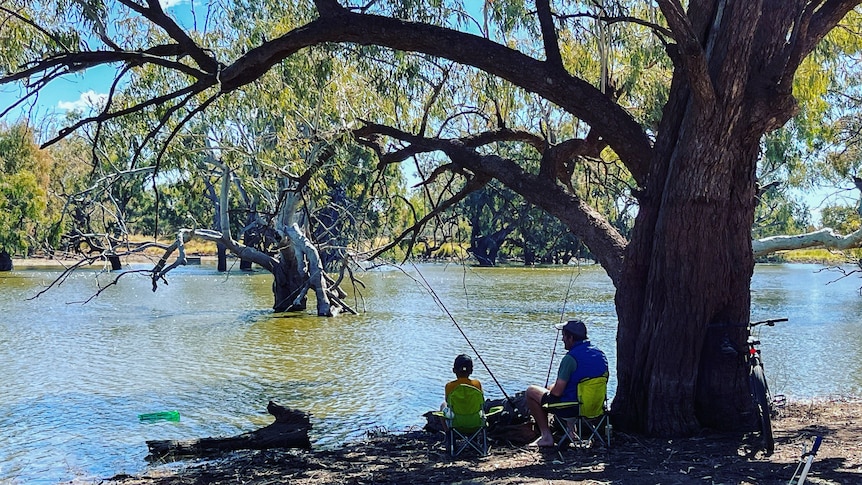 a man and a young boy fish in a river